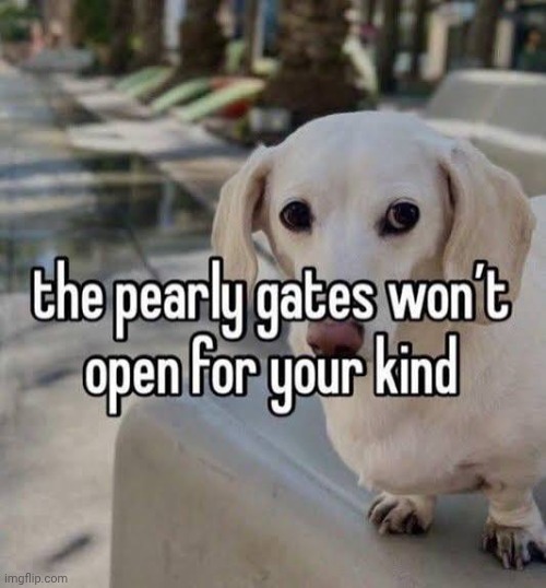 The pearly gates won't accept your kind | image tagged in the pearly gates won't accept your kind | made w/ Imgflip meme maker