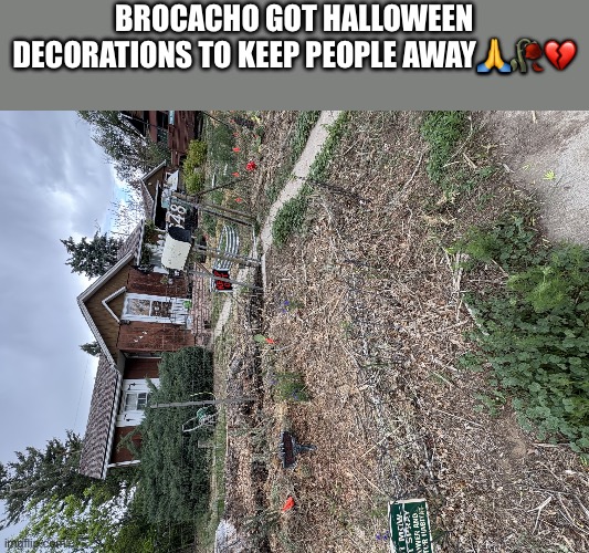 I am walking while posting this | brocacho got halloween decorations to keep people away🙏🥀💔 | image tagged in img_2143 jpeg | made w/ Imgflip meme maker