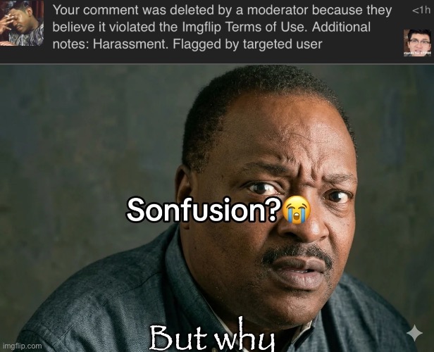 Can i be unbanned | But why | image tagged in sonfusion | made w/ Imgflip meme maker
