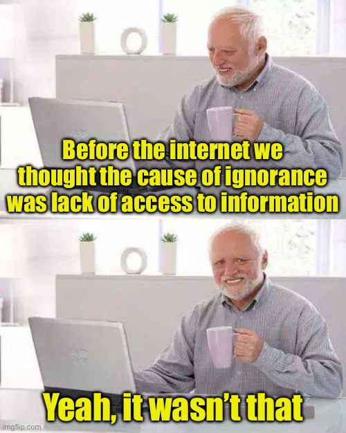 We live in the Misinformation Age | Before the internet we thought the cause of ignorance was lack of access to information; Yeah, it wasn’t that | image tagged in memes,hide the pain harold,misinformation | made w/ Imgflip meme maker