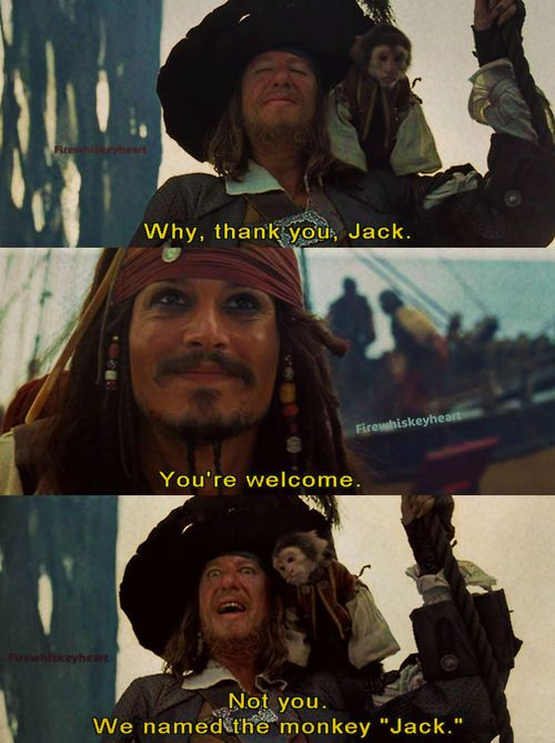 We named the monkey jack Blank Meme Template