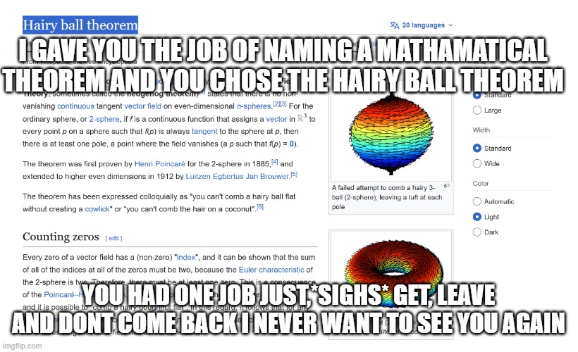 You had one Job | I gave you the job of naming a mathamatical theorem and you chose the Hairy ball theorem; You had one job just,*sighs* Get, leave and dont come back I never want to see you again | image tagged in why can't you just be normal,bro,dude wtf | made w/ Imgflip meme maker