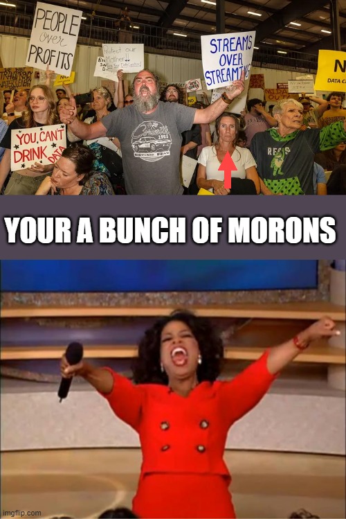 Hired protestors, they'll protest whatever they're told to protest for 100 bucks | Your a bunch of Morons | image tagged in memes,oprah you get a | made w/ Imgflip meme maker
