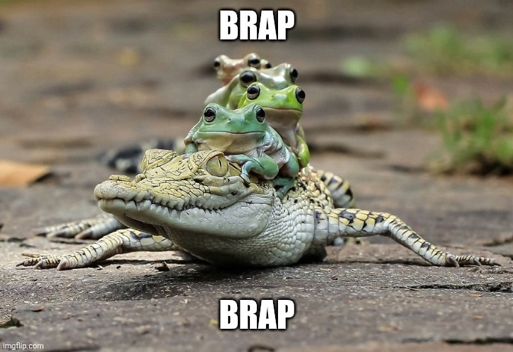 frog bus | Brap; Brap | image tagged in frog bus | made w/ Imgflip meme maker