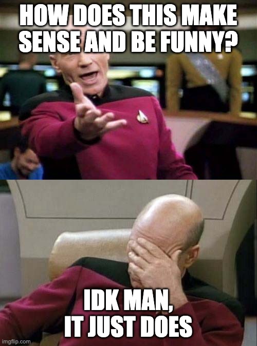 how does this make sense and be funny? idk man, it just does | image tagged in picard wtf and facepalm combined | made w/ Imgflip meme maker