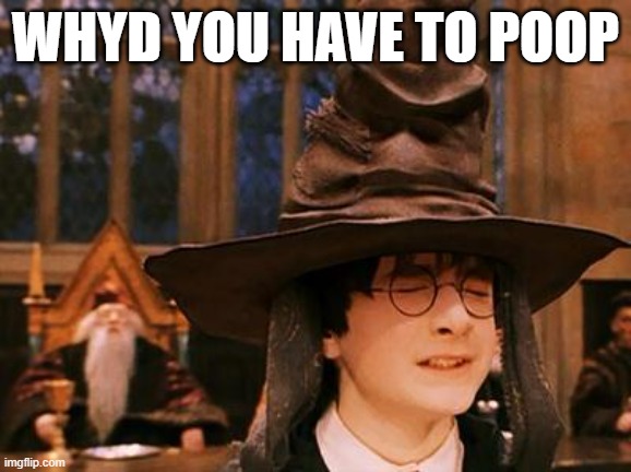 I dont know of a name for this | whyd you have to poop | image tagged in harry potter hat | made w/ Imgflip meme maker