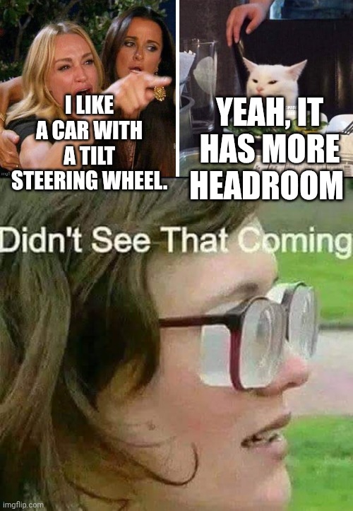 Yeah, it has more headroom; I like a car with a tilt steering wheel. | image tagged in smudge that darn cat with karen | made w/ Imgflip meme maker
