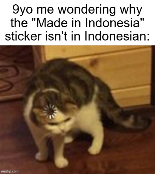 I found the "Made in Indonesia" sticker | 9yo me wondering why the "Made in Indonesia" sticker isn't in Indonesian: | image tagged in loading cat,memes,funny | made w/ Imgflip meme maker
