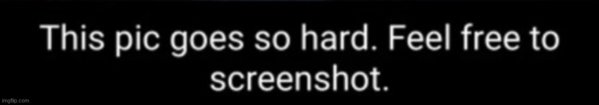 this pic goes hard feel free to screenshot template | image tagged in this pic goes hard feel free to screenshot template | made w/ Imgflip meme maker