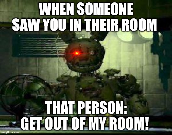 FNAF Springtrap in window | When someone saw you in their room; That person: get out of my room! | image tagged in fnaf springtrap in window | made w/ Imgflip meme maker