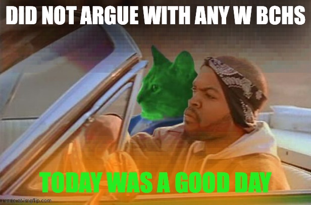 Driving RayCat | Did not argue with any w bchs Today was a good day | image tagged in driving raycat | made w/ Imgflip meme maker