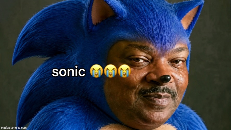 SONic | image tagged in sonic | made w/ Imgflip meme maker