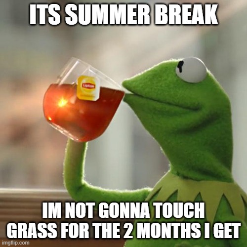 most of you have 3 months i know im just unlucky | its summer break; im not gonna touch grass for the 2 months i get | image tagged in memes,but that's none of my business,kermit the frog | made w/ Imgflip meme maker