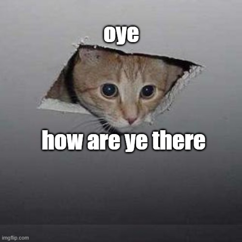 Ceiling Cat Meme | oye how are ye there | image tagged in memes,ceiling cat | made w/ Imgflip meme maker