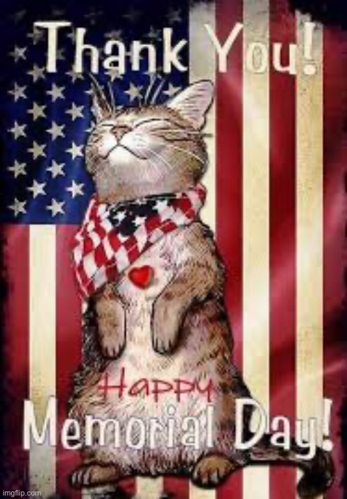 Once again, a huge thanks to all of the men and women who gave their lives in service to our country | image tagged in cats,memorial day,american flag,thank you,smiling cat,thankful | made w/ Imgflip meme maker