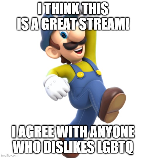 Hey there! | i think this is a great stream! i agree with anyone who dislikes lgbtq | image tagged in luigi from great mission | made w/ Imgflip meme maker