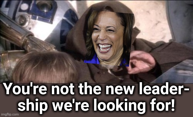 These Aren't The Droids You Were Looking For Meme | You're not the new leader-
ship we're looking for! | image tagged in memes,these aren't the droids you were looking for | made w/ Imgflip meme maker