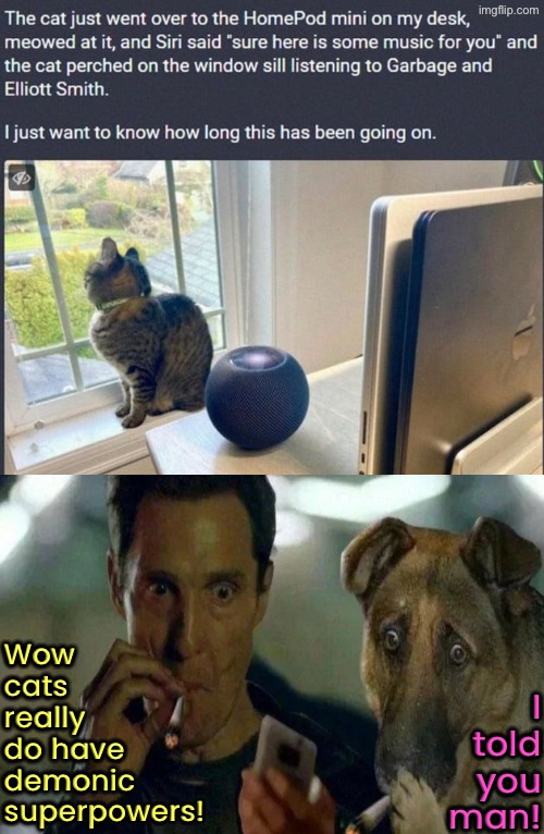 I Told You Man | Wow cats really do have demonic superpowers! I told you man! | image tagged in cats,funny cats,demonic,dogs,weed,i told you | made w/ Imgflip meme maker