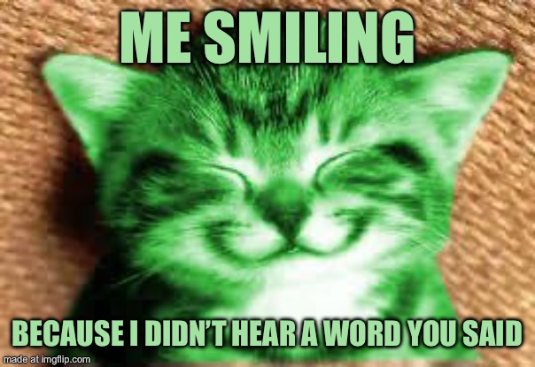 happy RayCat | Me smiling; Because I didn’t hear a word you said | image tagged in happy raycat | made w/ Imgflip meme maker