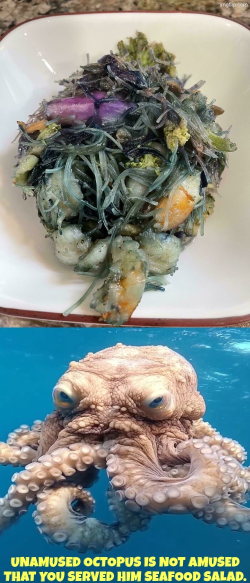 Unamused Octopus | Unamused octopus is not amused that you served him seafood salad. | image tagged in unamused,not amused,octopus,facial expressions,annoyed face,seafood | made w/ Imgflip meme maker