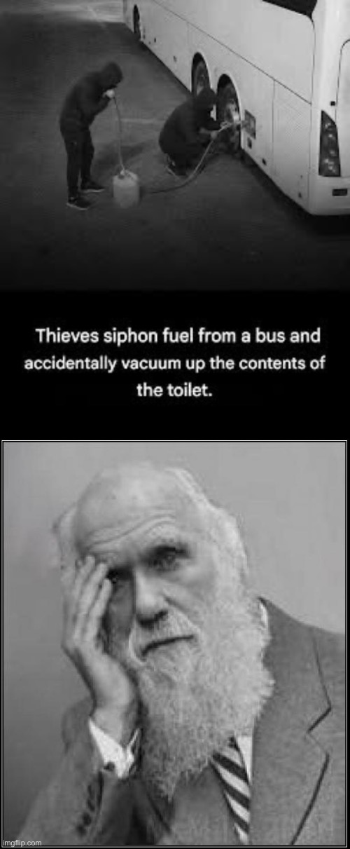 Darwin Award Winners | image tagged in img_6038 jpeg,darwin facepalm,shit,toilet,darwin award | made w/ Imgflip meme maker