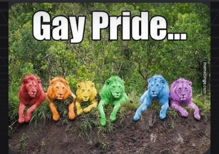 Gay Pride of Lions Blank Meme Template