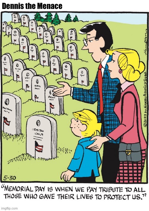 Indeed | Dennis the Menace | image tagged in comics,dennis the menace,memorial day,cemetery,sacrifice,tribute | made w/ Imgflip meme maker