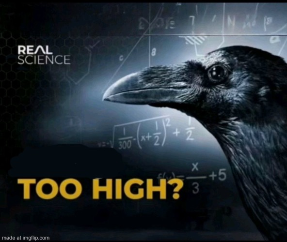 Too high? | image tagged in too high | made w/ Imgflip meme maker