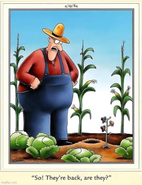 Nice hats… | image tagged in the far side,comics,farm,farmer,varmints,back again | made w/ Imgflip meme maker