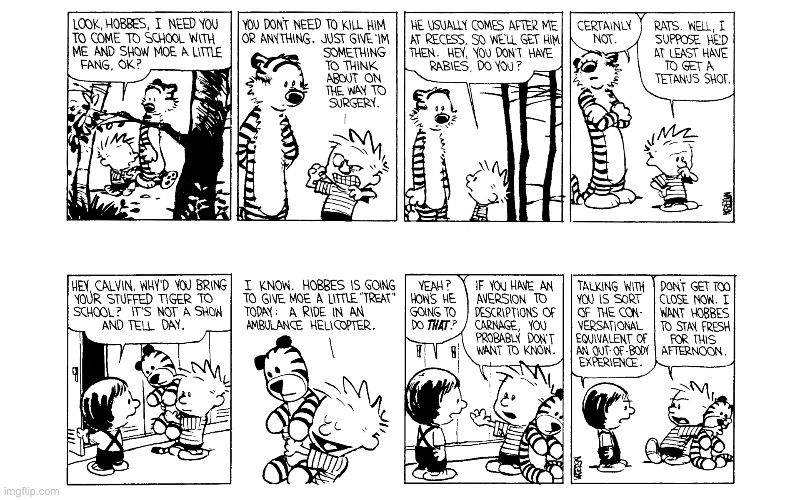 IMG_4255.jpeg | image tagged in calvin and hobbes,comics | made w/ Imgflip meme maker