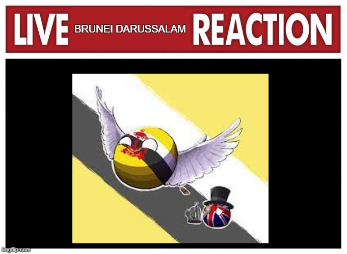 Brunei | Brunei Darussalam | image tagged in live reaction,memes,brunei | made w/ Imgflip meme maker