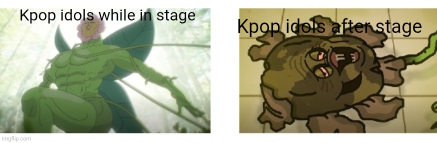 Some Leslie memes | Kpop idols after stage; Kpop idols while in stage | image tagged in tawog,leslie nielsen,kpop | made w/ Imgflip meme maker