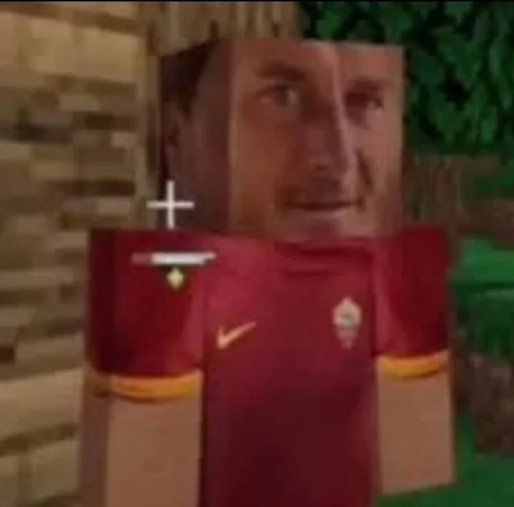 totti minecraft Blank Meme Template
