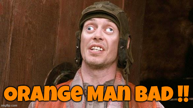 Steve Buscemi | Orange Man Bad !! | image tagged in steve buscemi | made w/ Imgflip meme maker