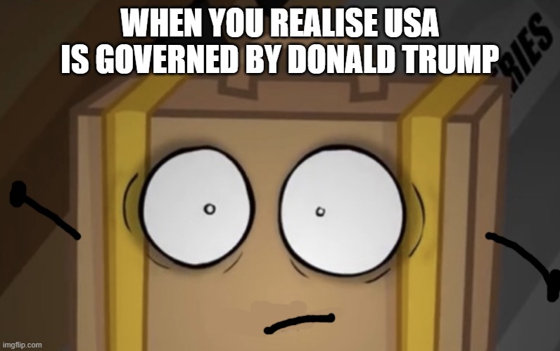 True case | When you realise USA is governed by Donald Trump | image tagged in suitcase,memes | made w/ Imgflip meme maker