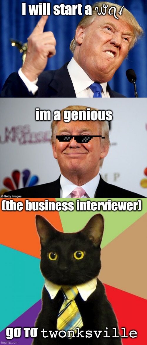 I will start a ᭙ꪖꪹ; im a genious; (the business interviewer); gσ тσ 𝚝𝚠𝚘𝚗𝚔𝚜𝚟𝚒𝚕𝚕𝚎 | image tagged in donald trump,donald trump approves,memes,business cat | made w/ Imgflip meme maker