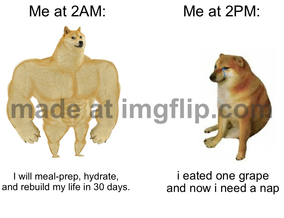 Me at 2AM: I will meal-prep, hydrate, and rebuild my life in 30 days. | Me at 2AM:; Me at 2PM:; I will meal-prep, hydrate, and rebuild my life in 30 days. i eated one grape and now i need a nap | image tagged in memes,buff doge vs cheems,water,meal,we will rebuild,3am | made w/ Imgflip meme maker