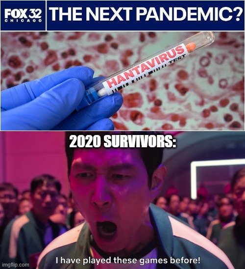 Not another pandemic! | 2020 survivors: | image tagged in i have played these games before,hantavirus,2026 | made w/ Imgflip meme maker