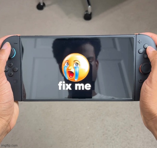 chat what should i do | image tagged in nintendo switch,i hate knitters | made w/ Imgflip meme maker