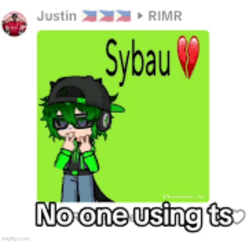 no one using ts | image tagged in no one using ts | made w/ Imgflip meme maker
