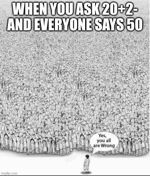 ,o | when you ask 20+2- and everyone says 50 | image tagged in yes you are all wrong | made w/ Imgflip meme maker