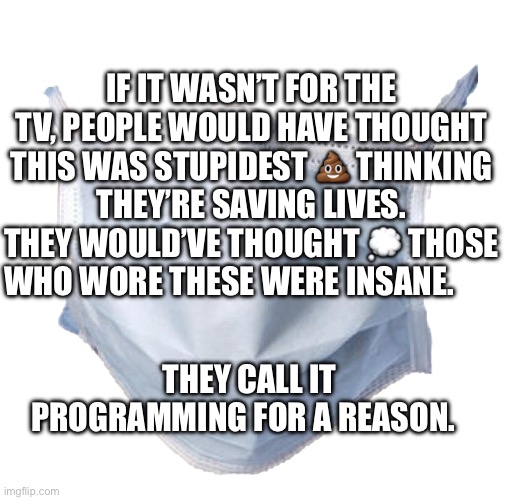 Face mask | If it wasn’t for the TV, people would have thought this was stupidest 💩 thinking they’re saving lives. They would’ve thought 💭 those who wore these were insane. They call it programming for a reason. | image tagged in face mask | made w/ Imgflip meme maker