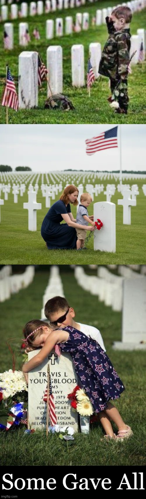All Gave Some | Some Gave All | image tagged in memorial day,respect,honor,fallen soldiers,sacrifice,tears | made w/ Imgflip meme maker