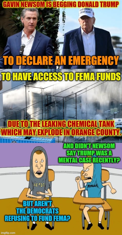 As Gavin Newsom And Other Democrats Beg For An Emergency Order... The Questions Remain... | image tagged in memes,no money,fema,donald trump,mental,case | made w/ Imgflip meme maker