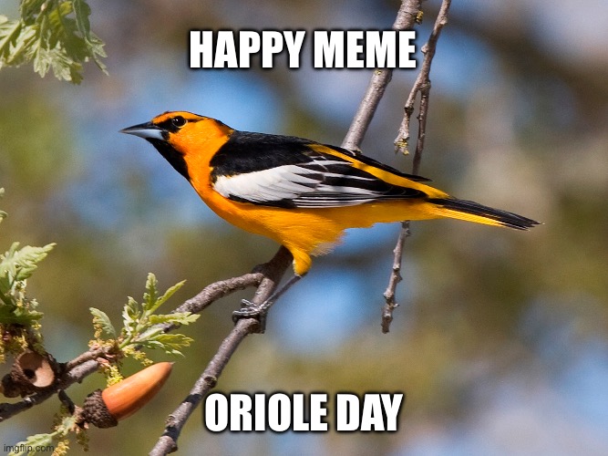 Happy meme; Oriole day | made w/ Imgflip meme maker