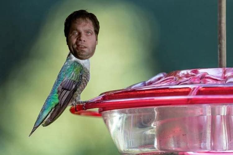 Sugar water Men in Black alien bird Blank Meme Template
