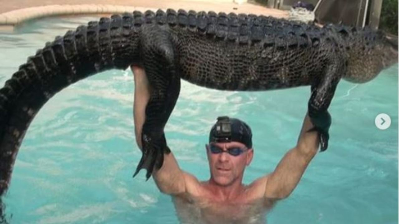 Florida man holding alligator Blank Meme Template