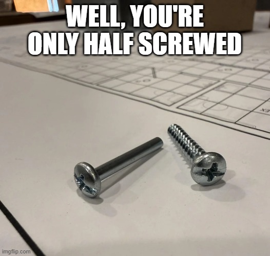 Screw? | well, you're only half screwed | image tagged in you had one job | made w/ Imgflip meme maker