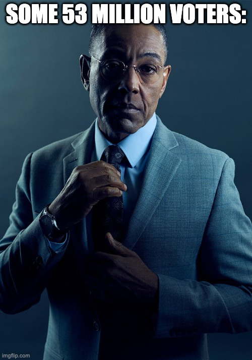 Gus Fring we are not the same | some 53 million voters: | image tagged in gus fring we are not the same | made w/ Imgflip meme maker
