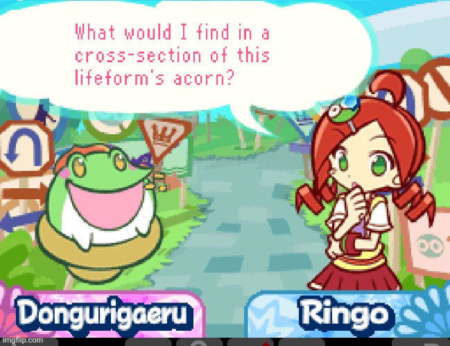 RINGO WTF | image tagged in puyo puyo,no context | made w/ Imgflip meme maker